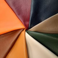 Catálogo Dollaro G Imagem de Destaque